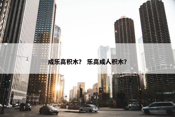 成乐高积木？ 乐高成人积木？