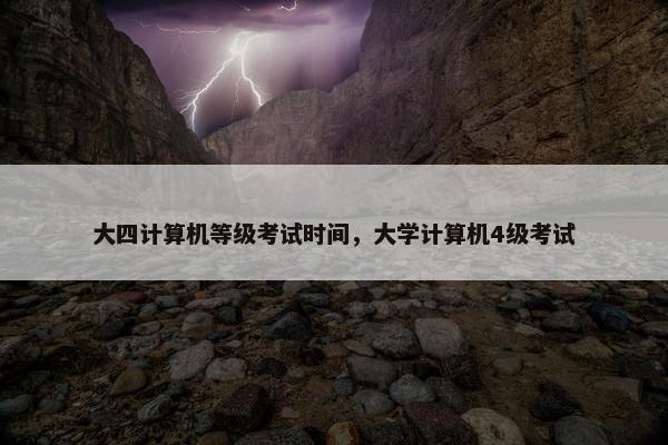 大四计算机等级考试时间，大学计算机4级考试