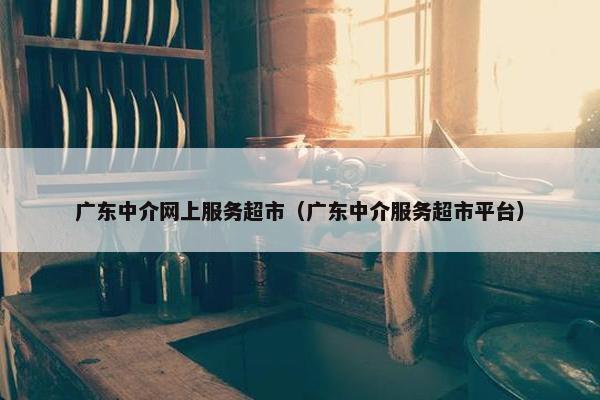 广东中介网上服务超市（广东中介服务超市平台）