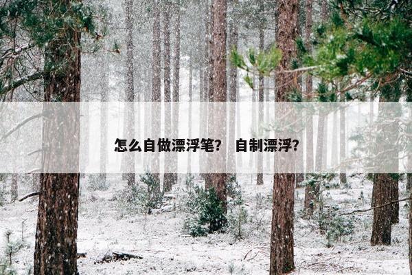 怎么自做漂浮笔？ 自制漂浮？