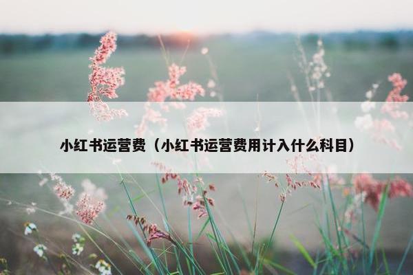 小红书运营费（小红书运营费用计入什么科目）