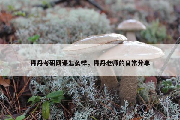 丹丹考研网课怎么样，丹丹老师的日常分享