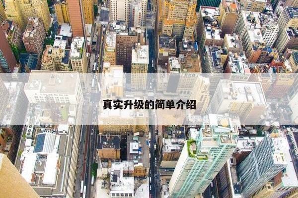 真实升级的简单介绍