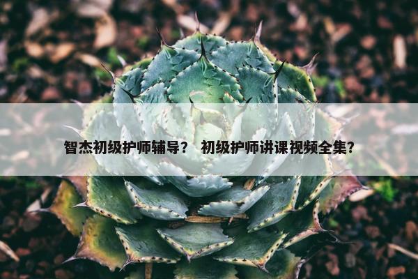 智杰初级护师辅导？ 初级护师讲课视频全集？