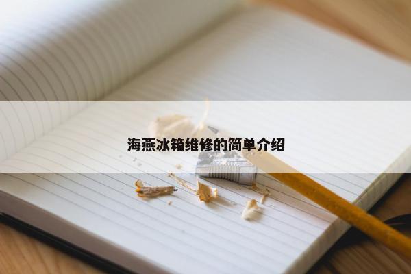 海燕冰箱维修的简单介绍