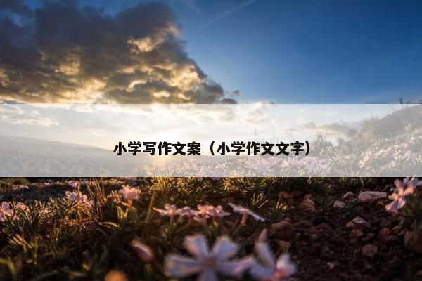小学写作文案（小学作文文字）
