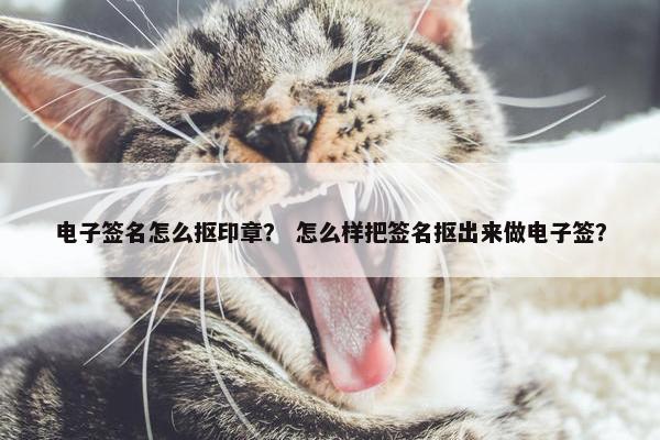 电子签名怎么抠印章？ 怎么样把签名抠出来做电子签？