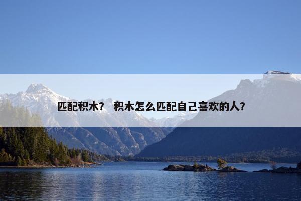 匹配积木？ 积木怎么匹配自己喜欢的人？