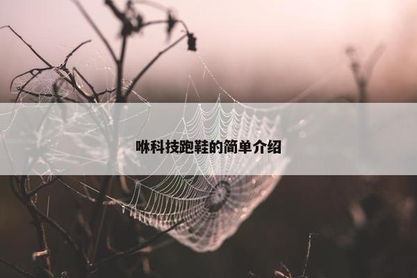 咻科技跑鞋的简单介绍