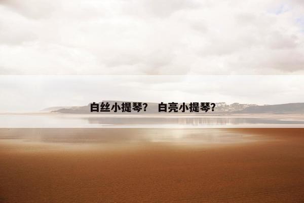 白丝小提琴？ 白亮小提琴？