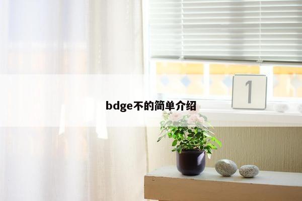 bdge不的简单介绍