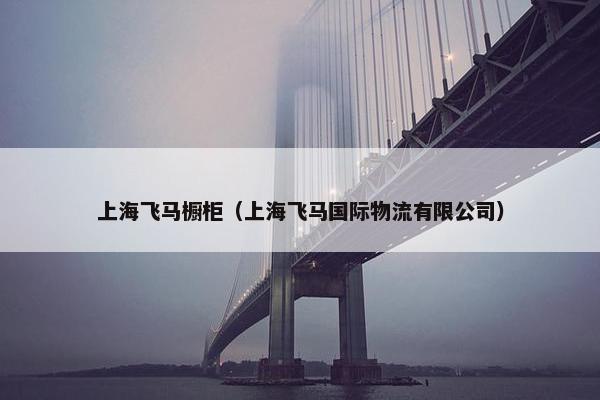 上海飞马橱柜（上海飞马国际物流有限公司）