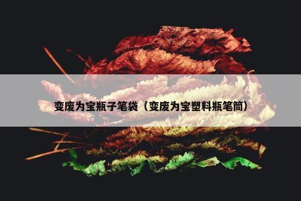 变废为宝瓶子笔袋（变废为宝塑料瓶笔筒）