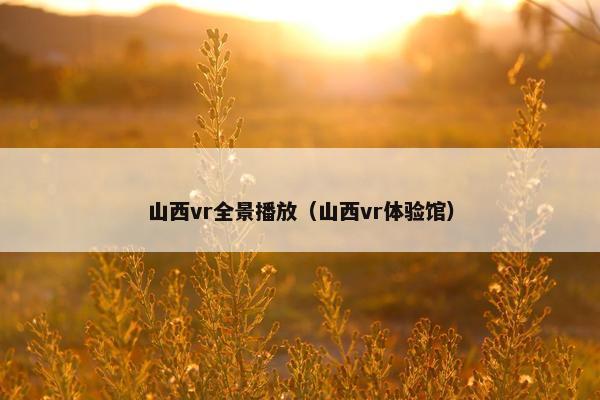 山西vr全景播放（山西vr体验馆）