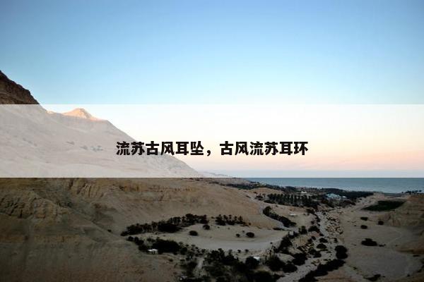 流苏古风耳坠，古风流苏耳环