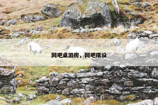 网吧桌游房，网吧摆设