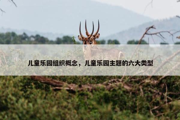 儿童乐园组织概念，儿童乐园主题的六大类型