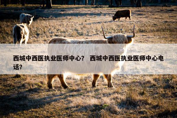 西城中西医执业医师中心？ 西城中西医执业医师中心电话？