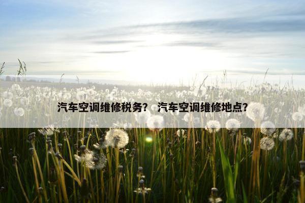 汽车空调维修税务？ 汽车空调维修地点？