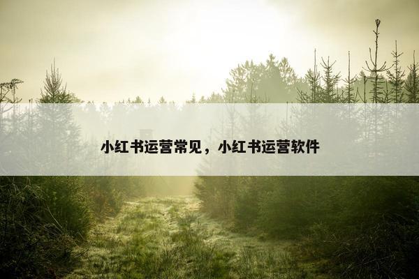 小红书运营常见，小红书运营软件