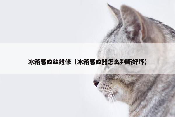 冰箱感应丝维修（冰箱感应器怎么判断好坏）
