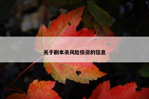 关于剧本杀风险投资的信息