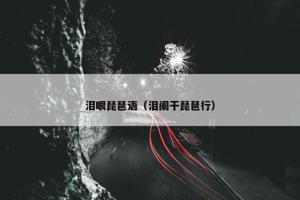 泪眼琵琶语（泪阑干琵琶行）