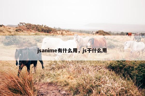 jsanime有什么用，js干什么用