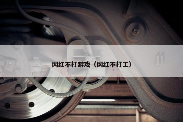 网红不打游戏（网红不打工）