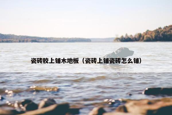 瓷砖胶上铺木地板（瓷砖上铺瓷砖怎么铺）