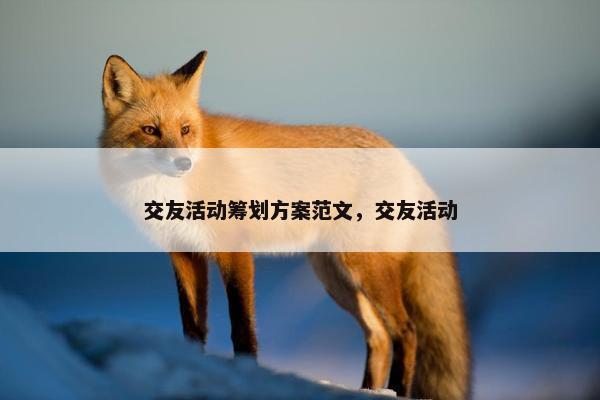 交友活动筹划方案范文，交友活动
