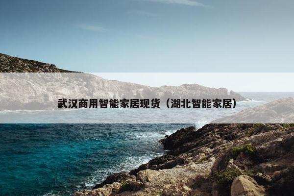 武汉商用智能家居现货（湖北智能家居）