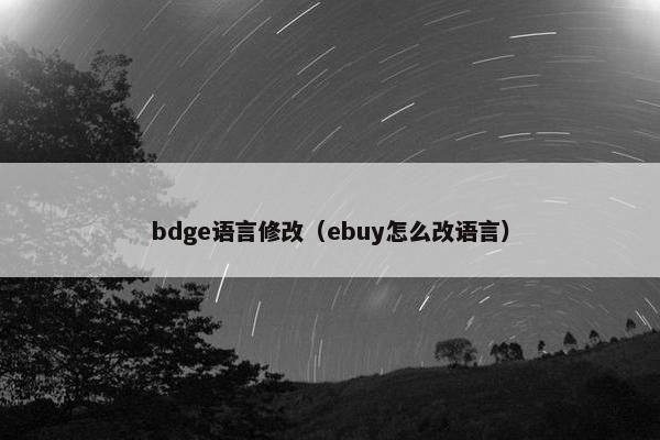 bdge语言修改（ebuy怎么改语言）
