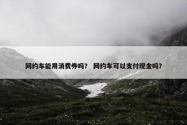 网约车能用消费券吗？ 网约车可以支付现金吗？