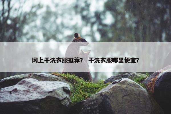 网上干洗衣服推荐？ 干洗衣服哪里便宜？