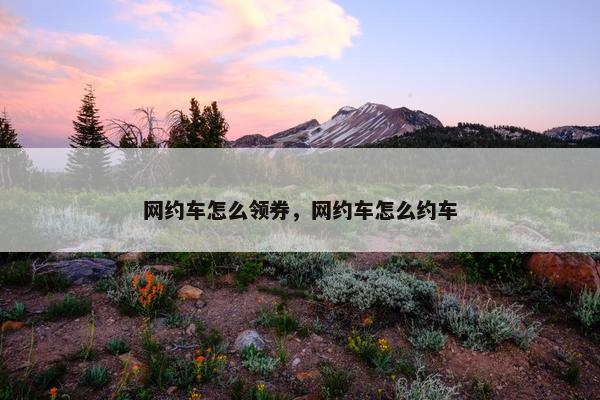 网约车怎么领券，网约车怎么约车