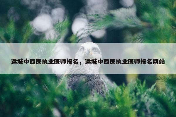 运城中西医执业医师报名，运城中西医执业医师报名网站