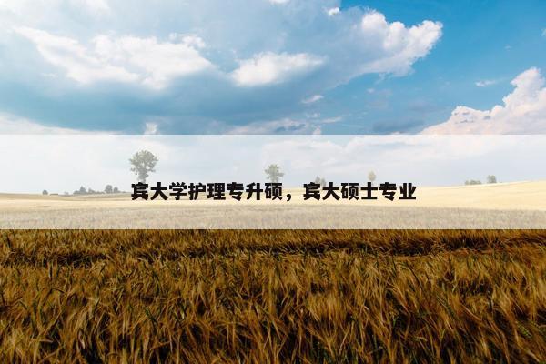 宾大学护理专升硕，宾大硕士专业