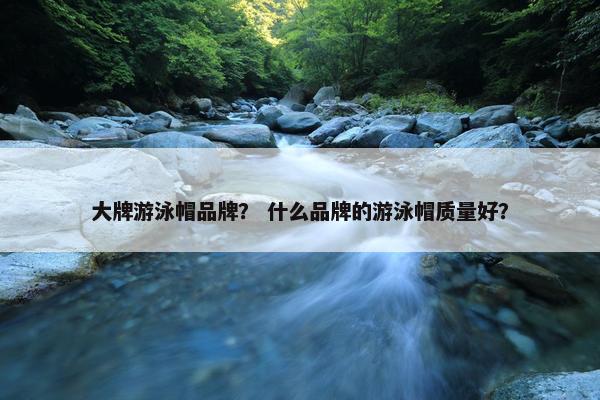 大牌游泳帽品牌？ 什么品牌的游泳帽质量好？