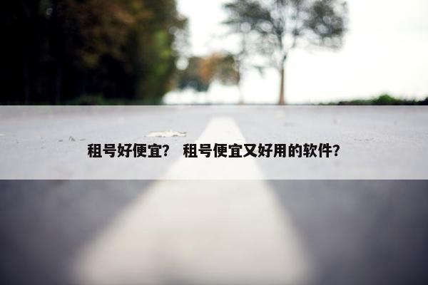 租号好便宜？ 租号便宜又好用的软件？