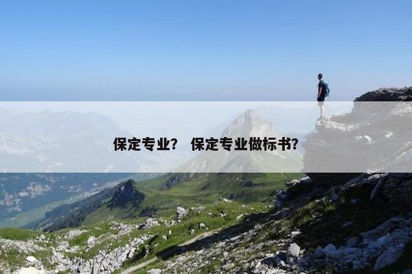 保定专业？ 保定专业做标书？