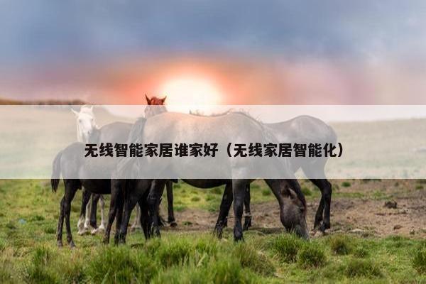 无线智能家居谁家好（无线家居智能化）