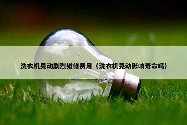 洗衣机晃动剧烈维修费用（洗衣机晃动影响寿命吗）