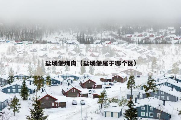 盐场堡烤肉（盐场堡属于哪个区）