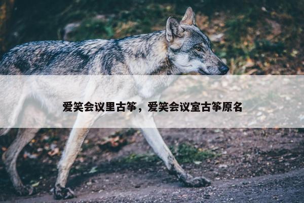 爱笑会议里古筝，爱笑会议室古筝原名