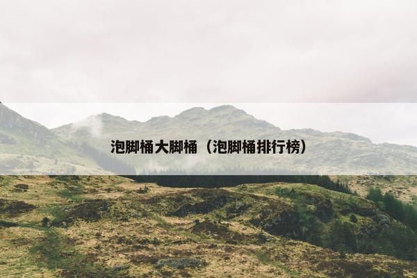 泡脚桶大脚桶（泡脚桶排行榜）