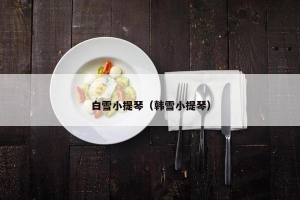 白雪小提琴（韩雪小提琴）