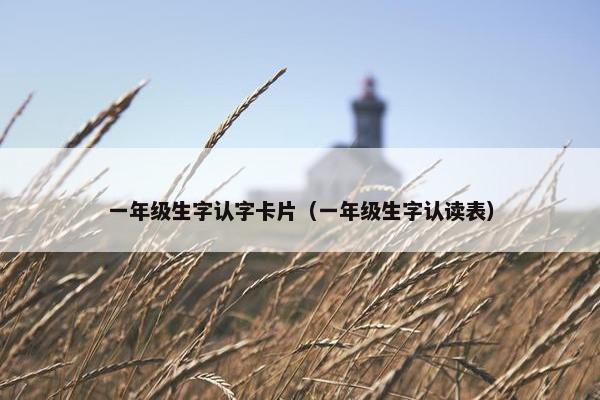 一年级生字认字卡片（一年级生字认读表）
