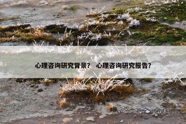 心理咨询研究背景？ 心理咨询研究报告？