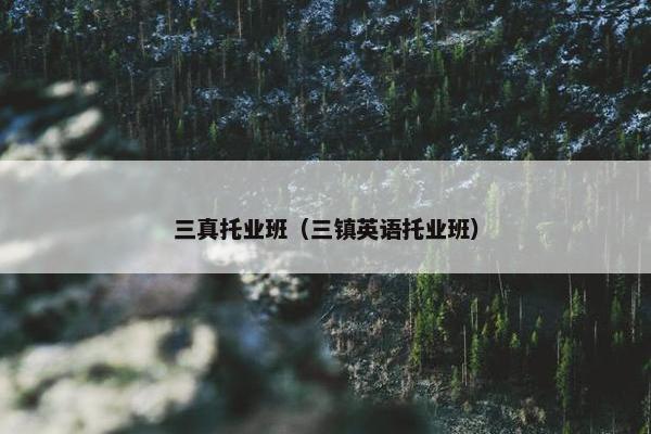 三真托业班（三镇英语托业班）
